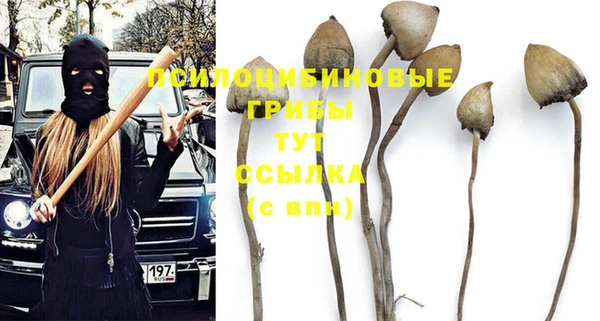 бошки Семикаракорск